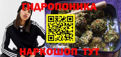 a pvp Кандалакша