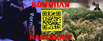 a pvp Кандалакша