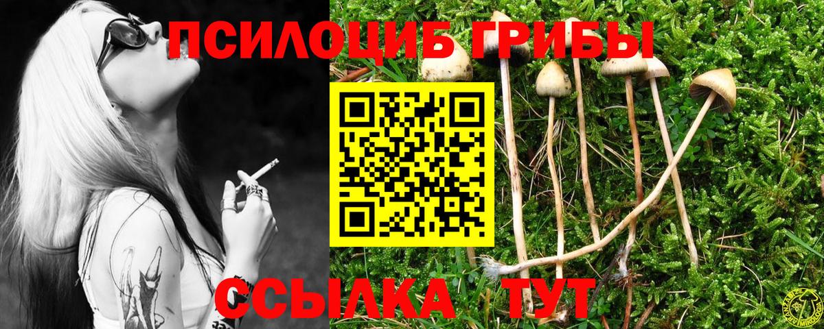 Галлюциногенные грибы MAGIC MUSHROOMS Лесной